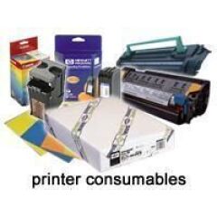 Epson Premium Glossy Photo Paper Roll, 44\
