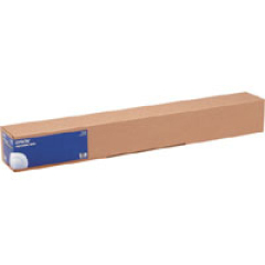 Epson WaterResistant Matte Canvas Roll, 17\